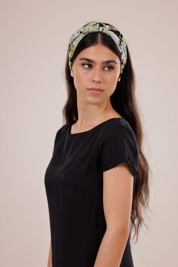 ⁦דקל - פפיון⁩ – תמונה ⁦6⁩