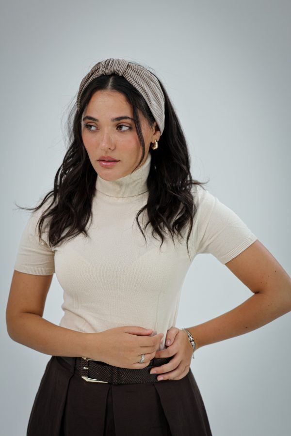 ⁦מור שמפניה - פפיון⁩ – תמונה ⁦2⁩