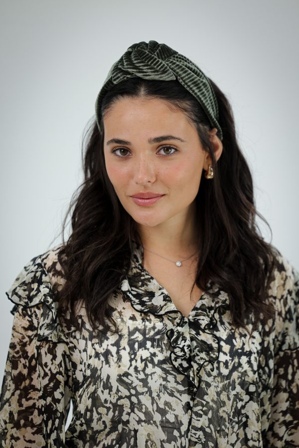 ⁦מור זית - קשת⁩ – תמונה ⁦8⁩