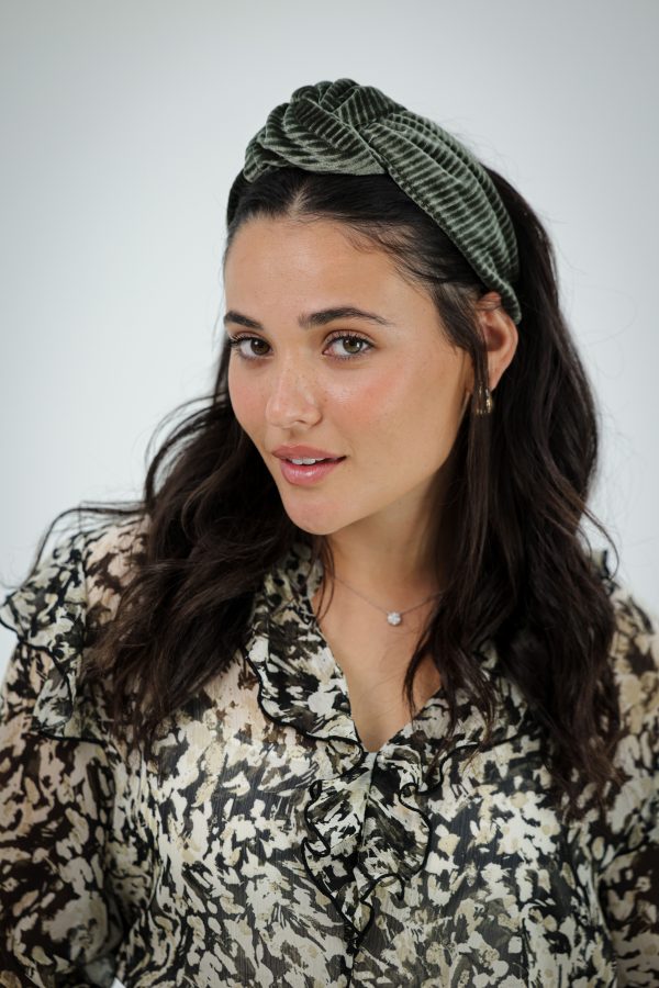 ⁦מור זית - קשת⁩ – תמונה ⁦6⁩