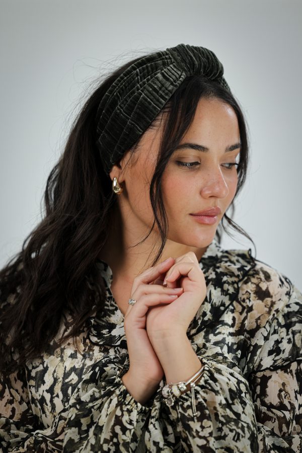 ⁦מור זית - פפיון⁩ – תמונה ⁦5⁩